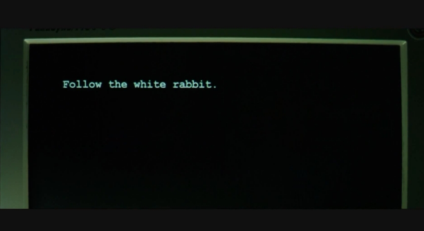 Follow the white rabbit.